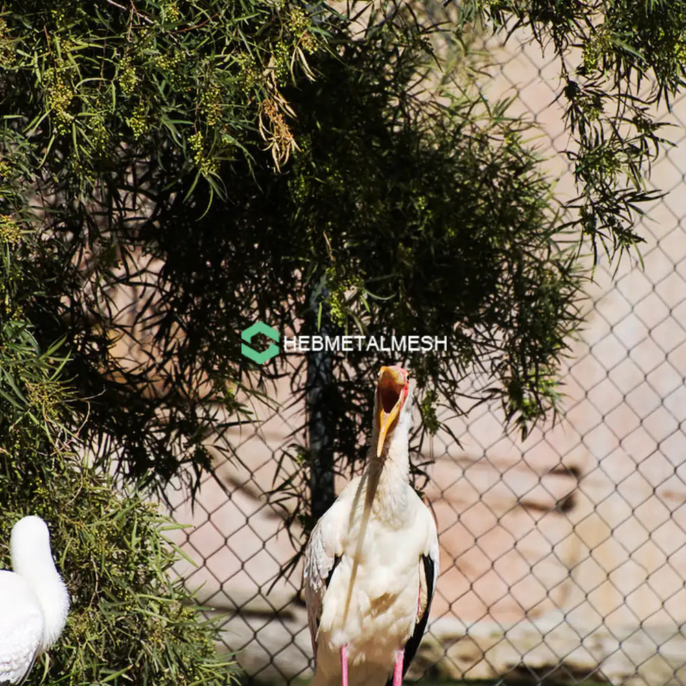 Choose stainless steel rope mesh for your new bird cage