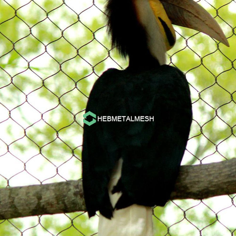 1.5" x 1.5" Bird Netting Stainless Steel 304 10' x 60' Roll Nature and Black Oxide Color For Zoo and Self Aviaries