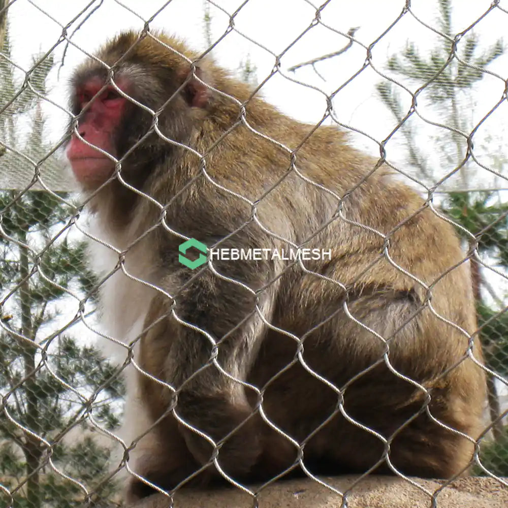 Netting for monkey 1.5" x 1.5" x 1/16" stainless steel 304 material 8' x 60' roll customized available monkey enclosure mesh monkey fencing
