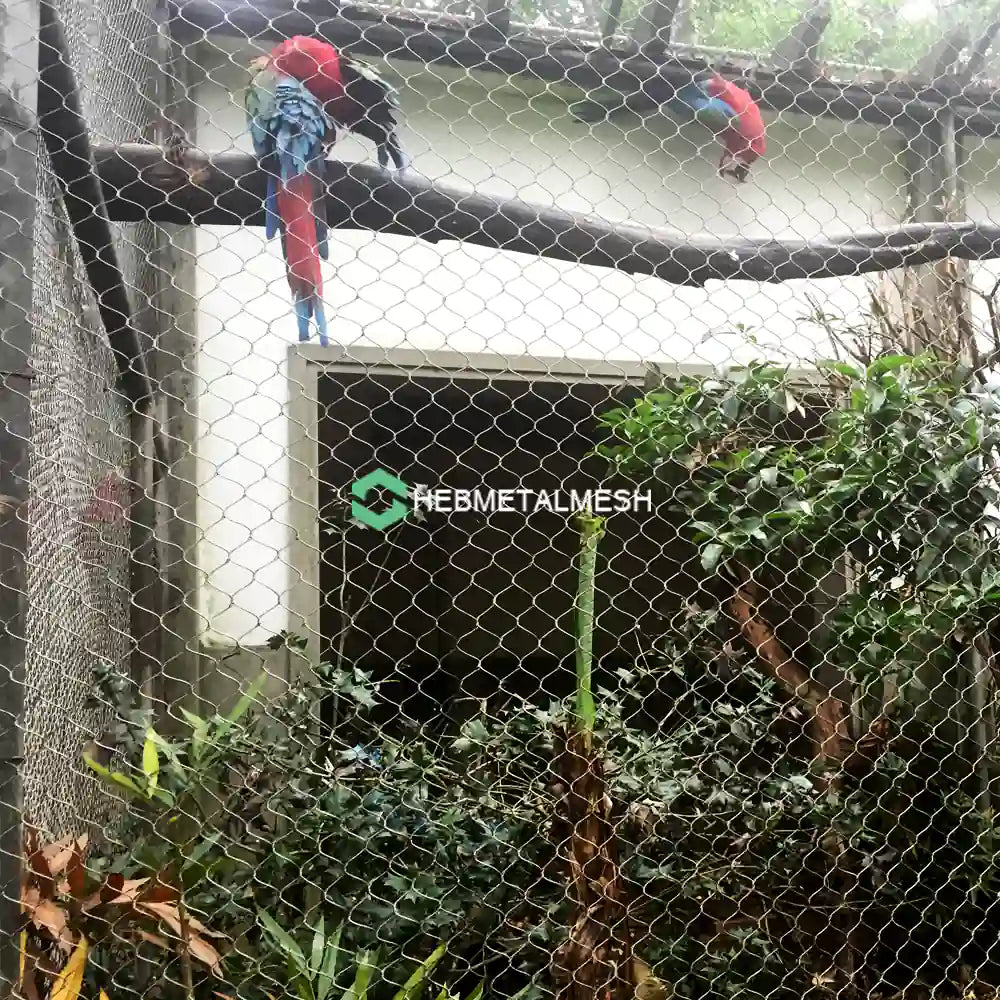 Parrot aviary netting 1" x 1" x 3/64" Stainless Steel 304 Roll Size 8' x 60' for Small Bird Nets Small Parrot Mesh