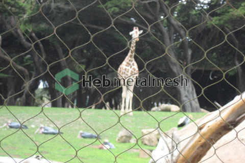 Animal enclosure mesh 3" x 3" x 3/32" offers fencing for deer exhibits monkey exhibits large enclosures sample