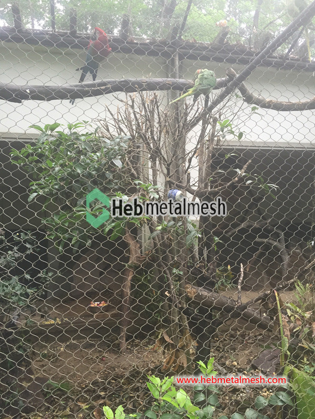 Aviary mesh for finches stainless steel aviary mesh net 3/4" x 3/4" mesh wire rope mesh factory sell