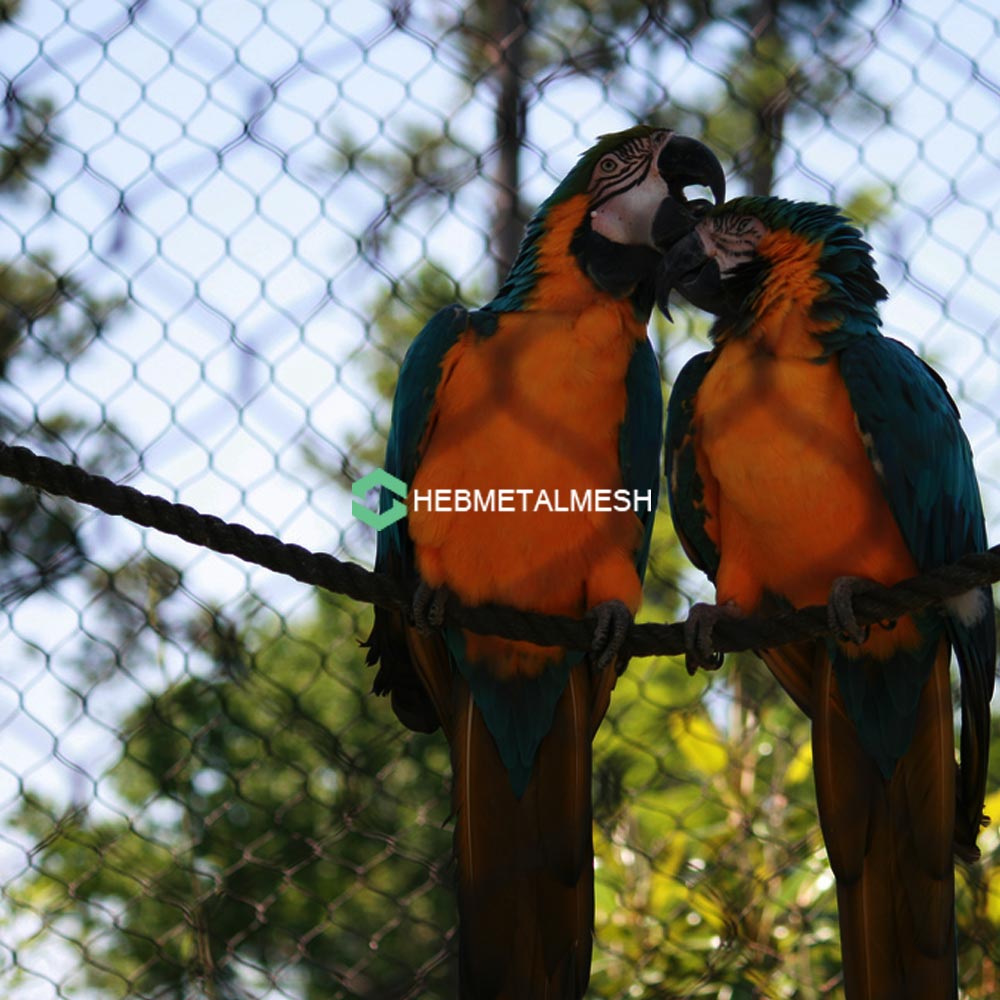 Choose right 2" macaw netting
