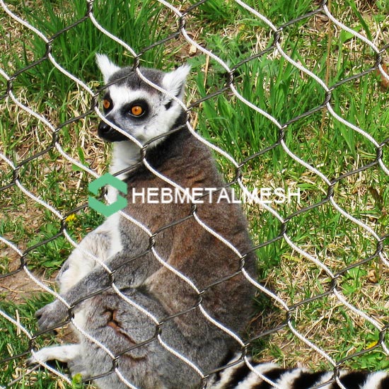 Do You Know Zoo Mesh Series In Hebmetalmesh?