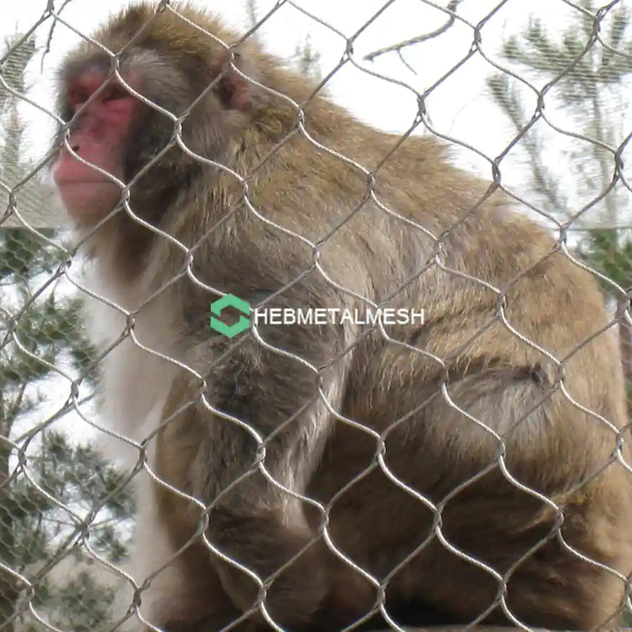 Monkey Enclosure Mesh 10' x 60' Rolls Netting for Primate Habitats Customized Panel Aviailable Zoo Mesh Factory Supply