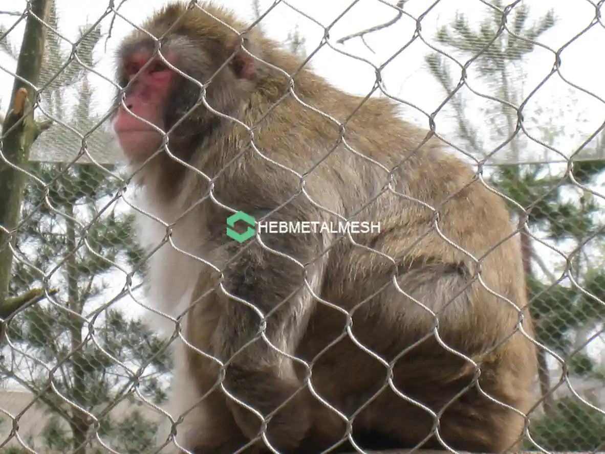 Monkey Enclosure Mesh 10' x 60' Rolls Netting for Primate Habitats Customized Panel Aviailable Zoo Mesh Factory Supply
