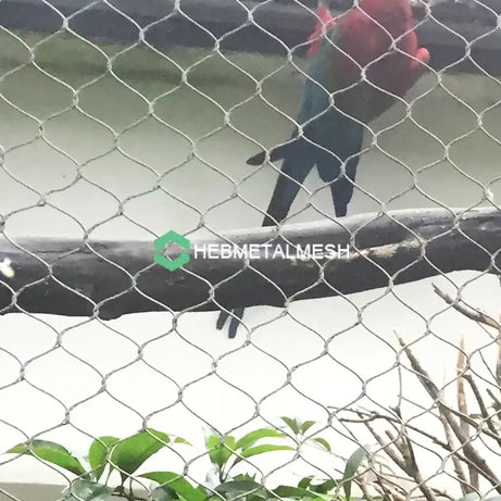 Animal Barrier Fence 3" x 3" Mesh 10' x 60' Rolls SS304 Animal Fencing Zoo Mesh Animal Enclosure Mesh Factory Sell