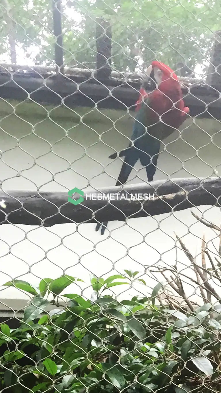 Animal Barrier Fence 3" x 3" Mesh 10' x 60' Rolls SS304 Animal Fencing Zoo Mesh Animal Enclosure Mesh Factory Sell