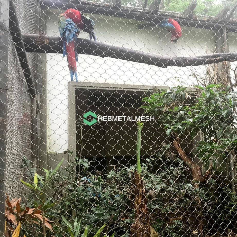 1in x 1in Bird Netting SS304 10' x 60' Roll for Garden Zoo Aviary Black Nature