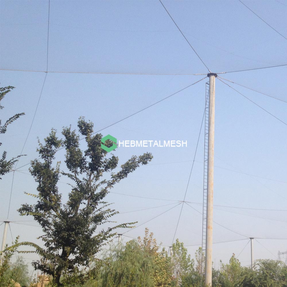 1in x 1in Bird Netting SS304 10' x 60' Roll for Garden Zoo Aviary Black Nature