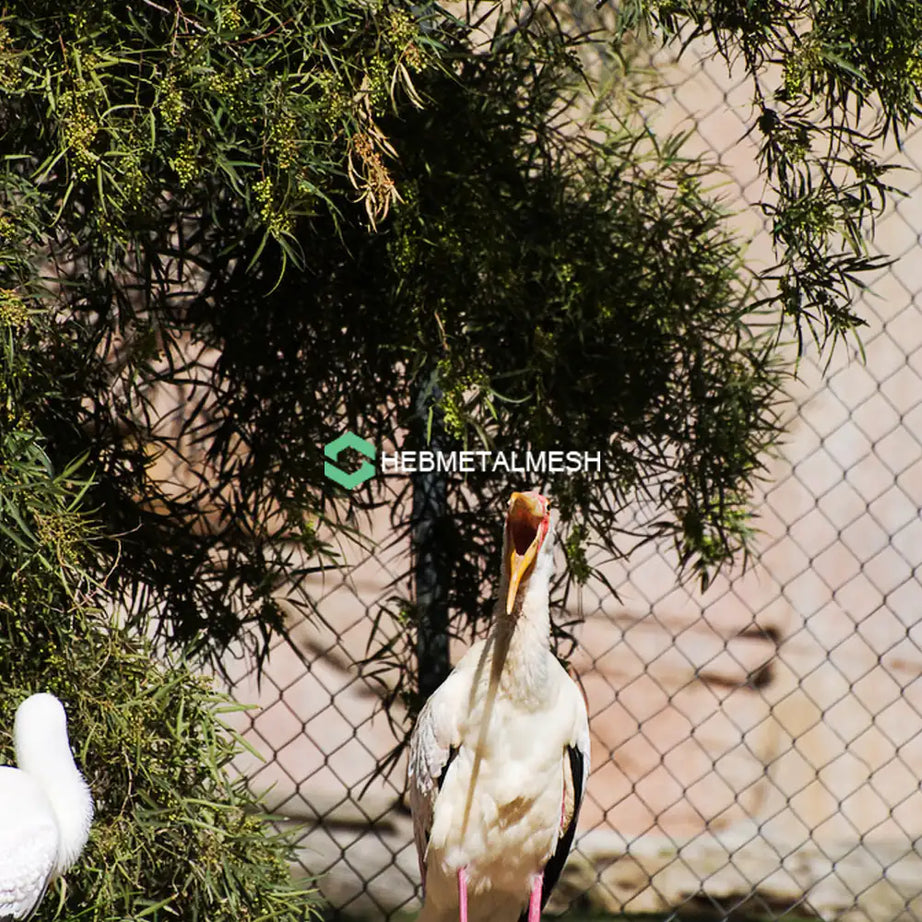 Bird Mesh 1" x 1" x 1/16" Stainless Steel 304 Material 4' x 60' rolls accept customized roll