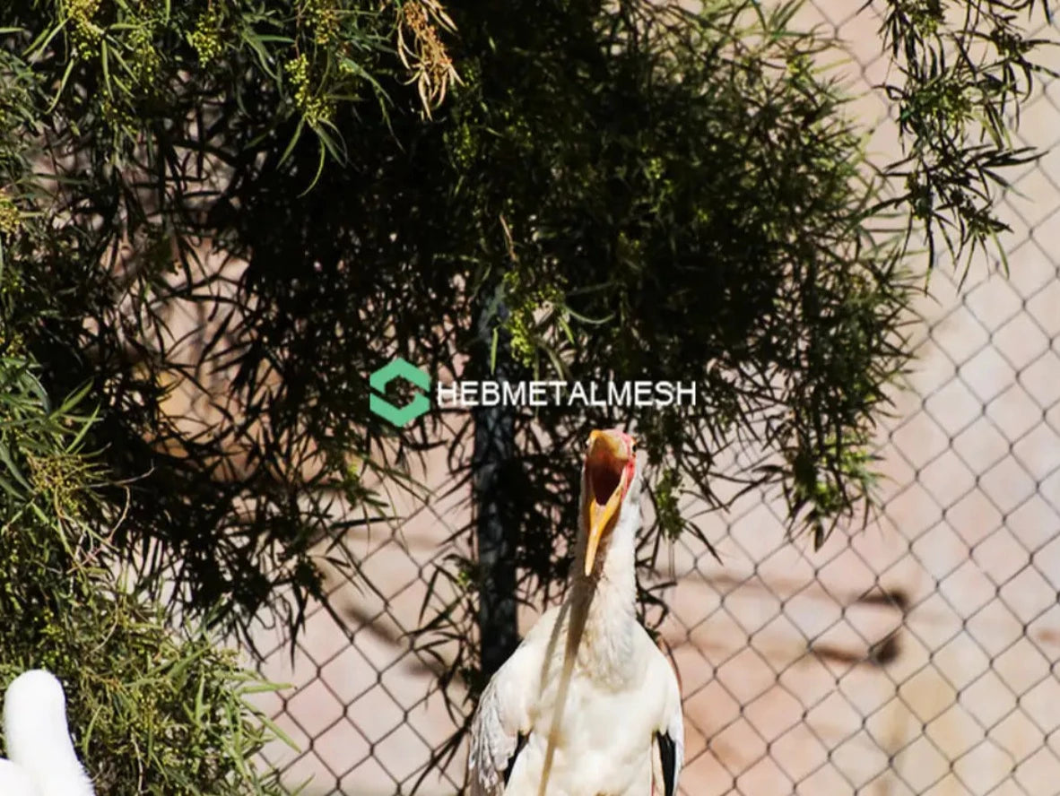 Aviary Mesh 10' x 60' Black Oxide Zoo Mesh 2" x 2" x 1/16" Wire Cable Netting Stainless Steel Rope Mesh