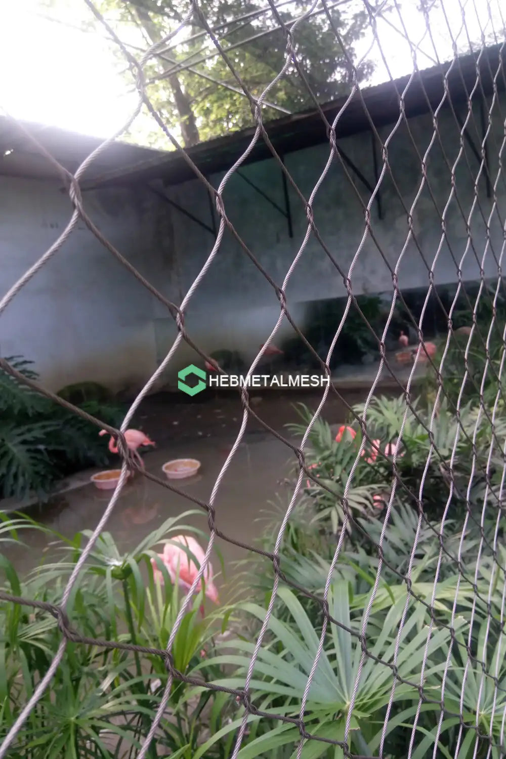 1" Bird Netting SS304 Bird Net Aviay Netting 6' x 60' Rolls for Small Bird Aviary Bird Exhibits Handwoven Mesh Factory Sell