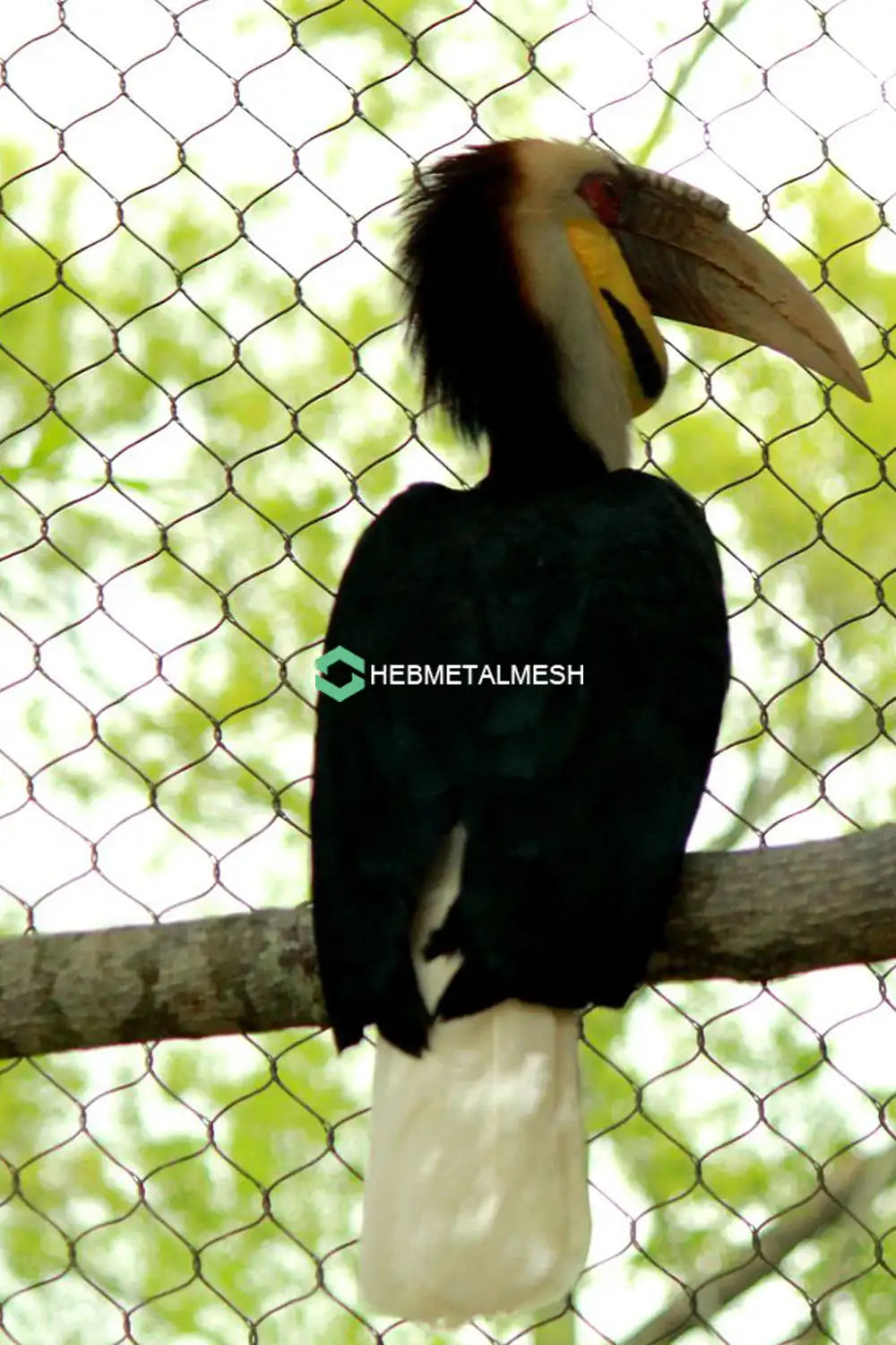 1" Bird Netting SS304 Bird Net Aviay Netting 6' x 60' Rolls for Small Bird Aviary Bird Exhibits Handwoven Mesh Factory Sell