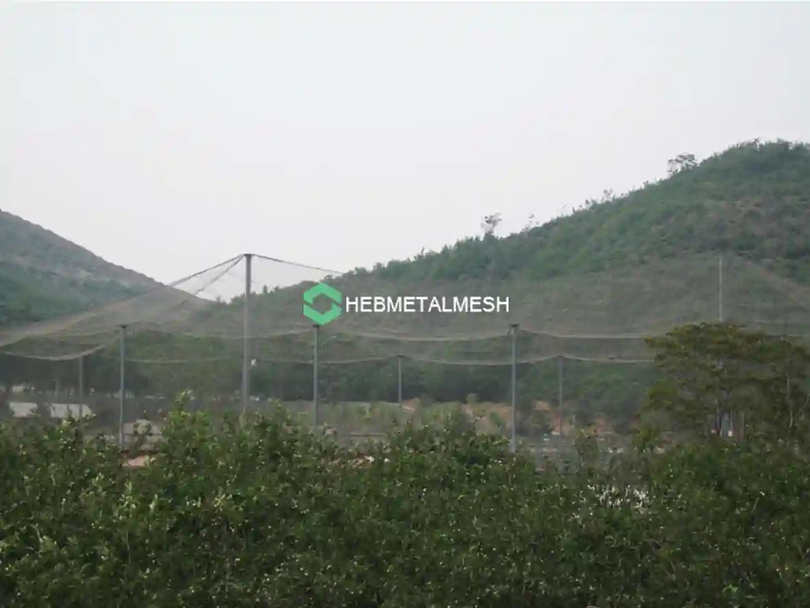 Black Oxide Aviary Mesh 10' x 60' rolls 1.5" x 1.5" x 3/64" Stainless steel aviary netting in Zoos and Bird Parks