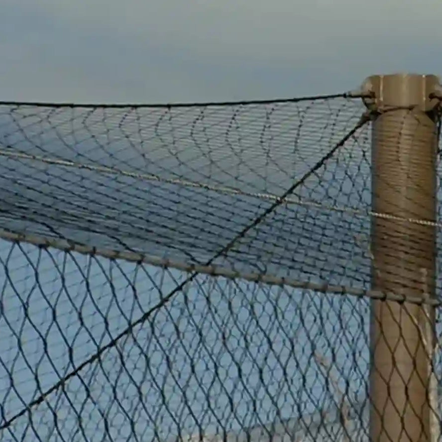 Eagle Enclosure Mesh 10' x 60' Rolls Black Oxide Aviary Mesh For Eagle Exhibits Eagle barrier