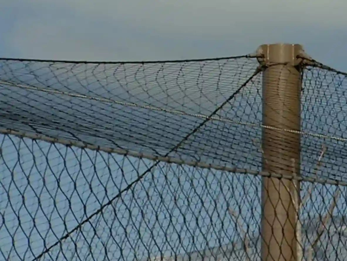 Eagle Enclosure Mesh 10' x 60' Rolls Black Oxide Aviary Mesh For Eagle Exhibits Eagle barrier