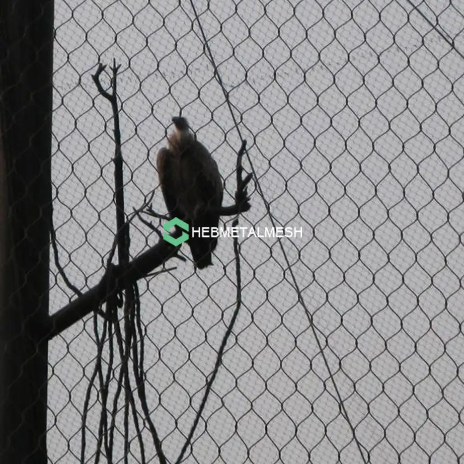 Hawk Netting 2" x 2" x 5/64" SS304 8' x 60' Roll Aviary Mesh For Hawk Birds Customized Available