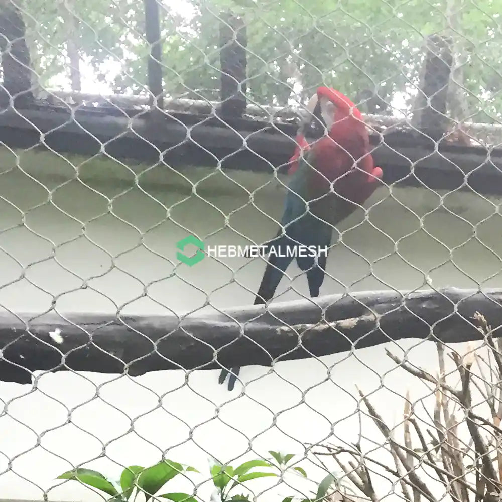 Parrot aviary netting 1" x 1" x 3/64" Stainless Steel 304 Roll Size 8' x 60' for Small Bird Nets Small Parrot Mesh