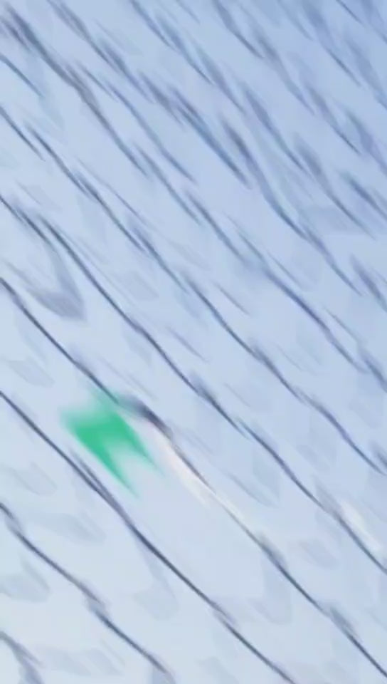 1.5" x 1.5" Bird Netting Stainless Steel 304 10' x 60' Roll Nature and Black Oxide Color For Zoo and Self Aviaries