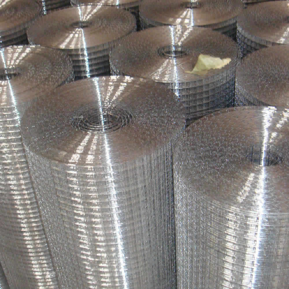 Welded Wire Mesh 2mm Wire SS304 Series Rolls for Sell