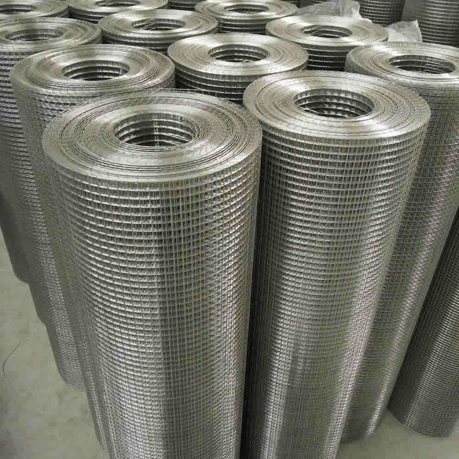 Welded Wire Mesh 2mm Wire SS304 Series Rolls for Sell