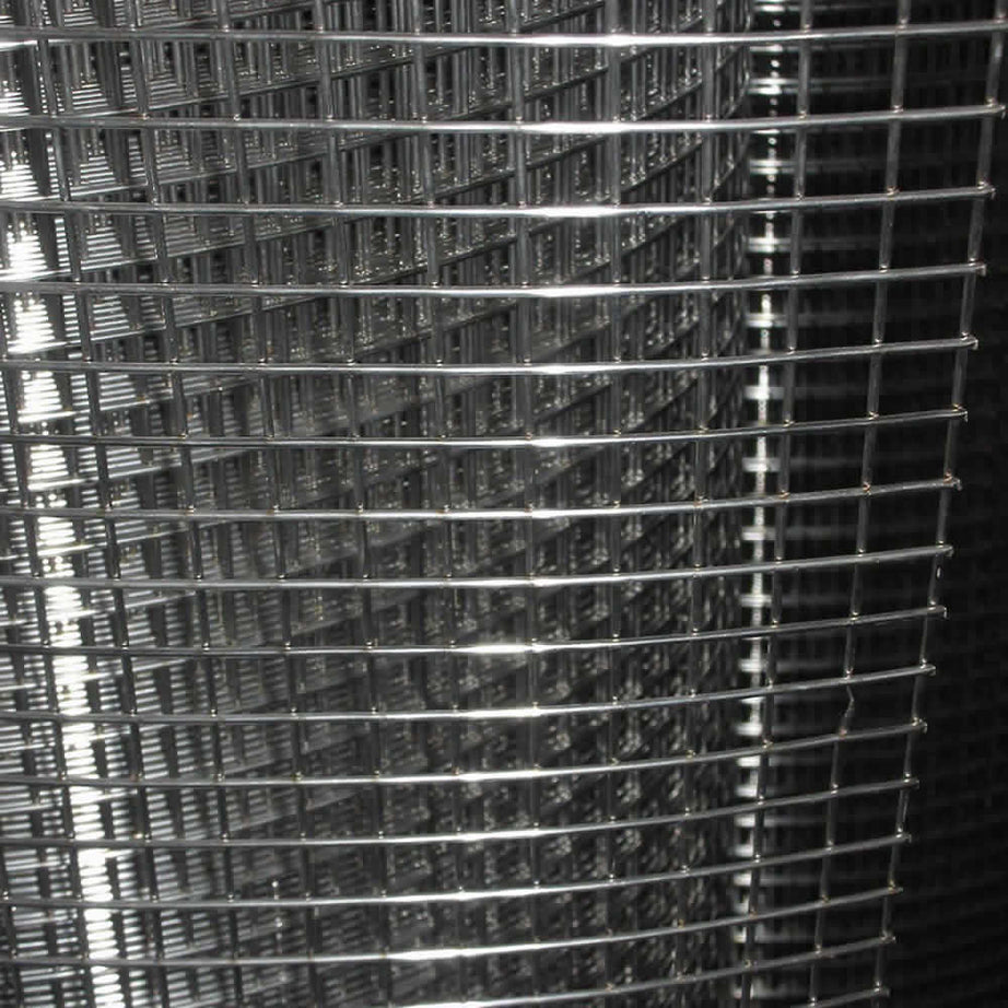 Welded Wire Mesh 2mm Wire SS304 Series Rolls for Sell