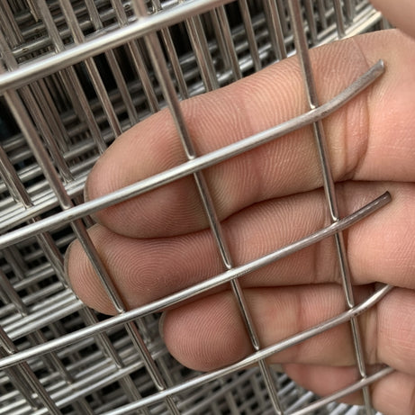 Welded Wire Mesh 2mm Wire SS304 Series Rolls for Sell