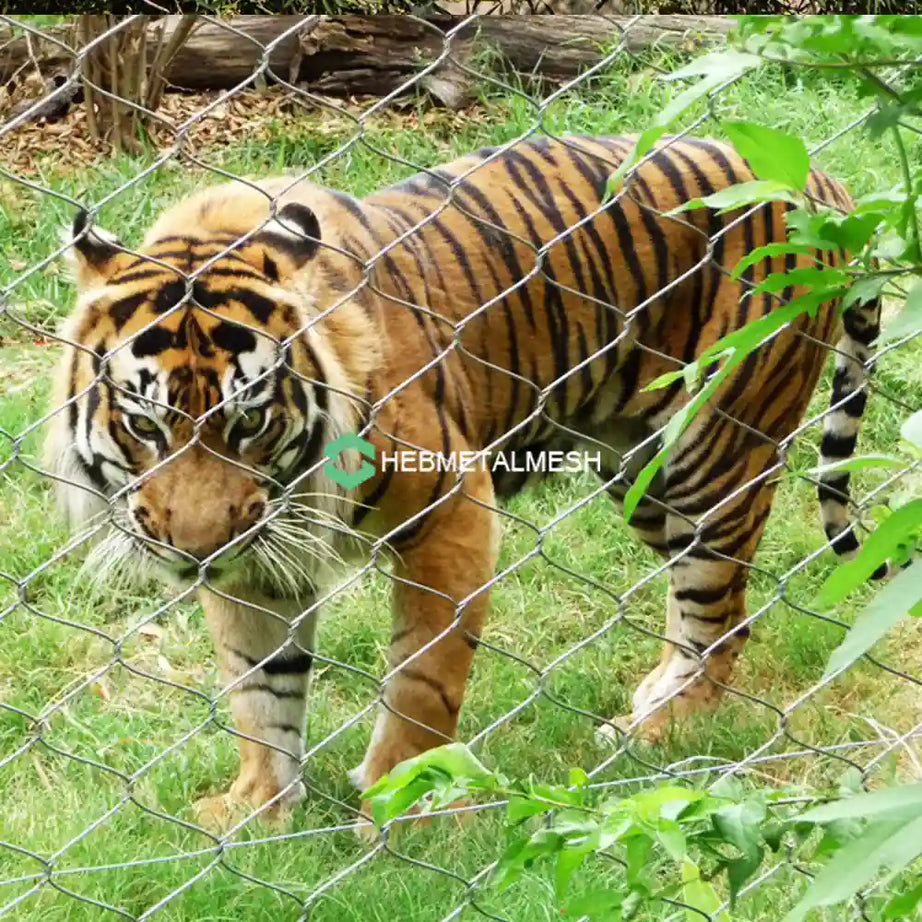 Zoo fencing 3" x 3" x 1/8" Stainless Steel 304 Roll Size 4' x 60' Customized Available, Suitable for Animal enclosure, Tigers, Lions and Leopards