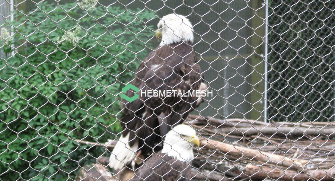 2" x 2" x 1/16" Stainless steel zoo mesh sample