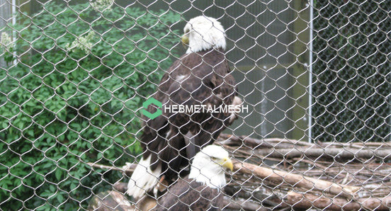 2" x 2" x 1/16" Stainless steel zoo mesh sample