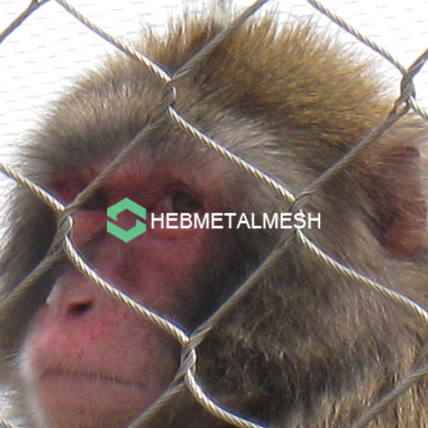 2" x 2" x 1/16" Stainless steel zoo mesh sample