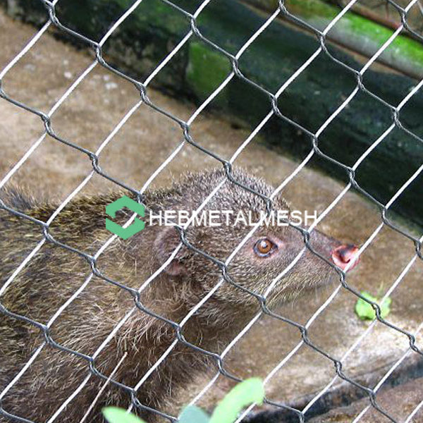 2" x 2" x 1/16" Stainless steel zoo mesh sample