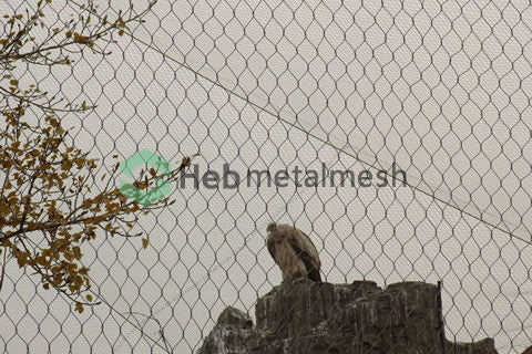 Aviary netting 1" x 1/16" stinless steel wire rope mesh for outdoor aviary bird enclosures hot sale sample
