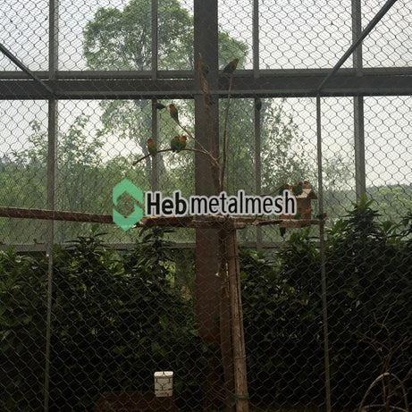 1" aviary mesh stainless steel wire rope mesh bird cage net factory sell high quality 6'8" x 16' rolls