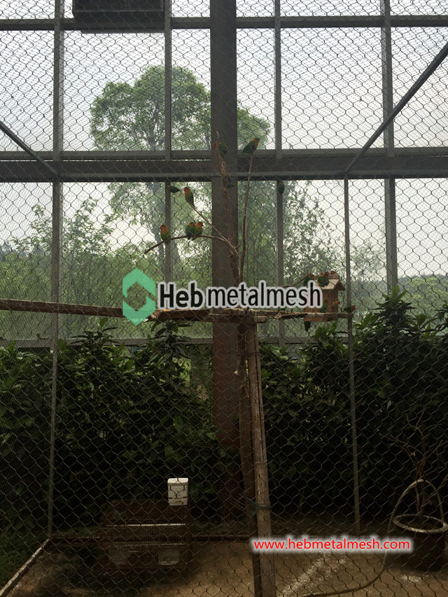 1" aviary mesh stainless steel wire rope mesh bird cage net factory sell high quality 6'8" x 16' rolls