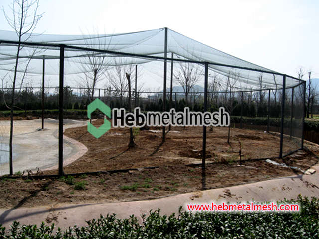 Aviary netting 1" x 1/16" stinless steel wire rope mesh for outdoor aviary bird enclosures hot sale sample