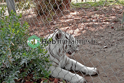 Sample 3" x 3" x 1/8" stainless steel rope mesh tiger enclosure fence lion enclosure mesh leopard enclosure netting