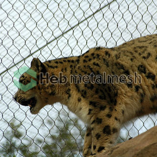 Beast area roof safety mesh 4" x 4" x 1/8" for tiger enclosure mesh lion enclosure mesh leopard enclsoure mesh zoo exhibit fence sample supply