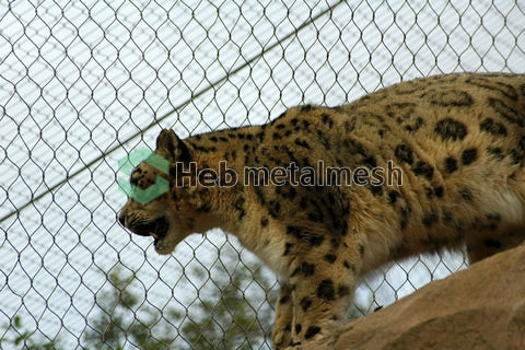 Beast area roof safety mesh 4" x 4" x 1/8" for tiger enclosure mesh lion enclosure mesh leopard enclsoure mesh zoo exhibit fence sample supply