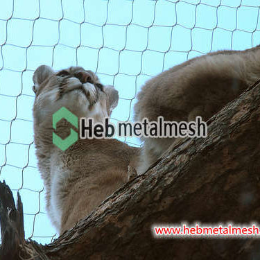 Sample 3" x 3" x 1/8" stainless steel rope mesh tiger enclosure fence lion enclosure mesh leopard enclosure netting