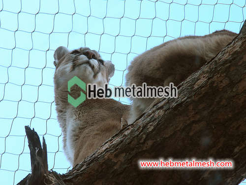 Sample 3" x 3" x 1/8" stainless steel rope mesh tiger enclosure fence lion enclosure mesh leopard enclosure netting