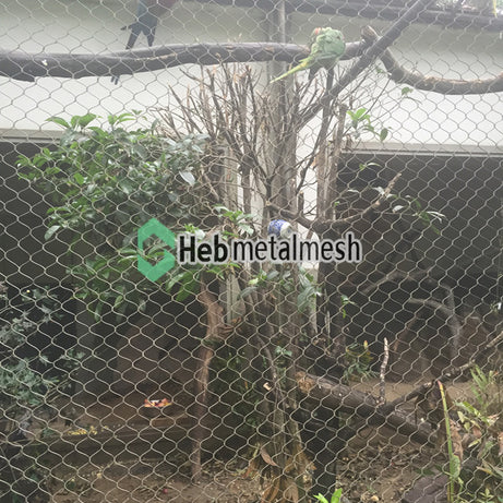 Aviary mesh for finches stainless steel aviary mesh net 3/4" x 3/4" mesh wire rope mesh factory sell