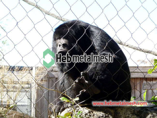 Animal enclosure mesh 3" x 3" x 3/32" offers fencing for deer exhibits monkey exhibits large enclosures sample