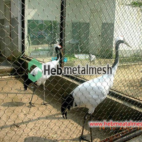 Sample 2" x 2" x 5/64" stainless steel rope mesh monkey enclosure fence eagle enclosure aviary mesh