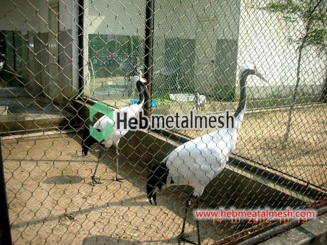 Sample 2" x 2" x 5/64" stainless steel rope mesh monkey enclosure fence eagle enclosure aviary mesh