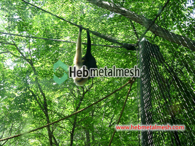 Animal enclosure mesh 3" x 3" x 3/32" offers fencing for deer exhibits monkey exhibits large enclosures sample