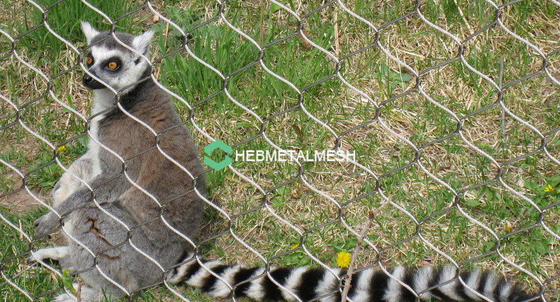 1.5" x 1.5" x 5/64" Stainless steel rope mesh sample