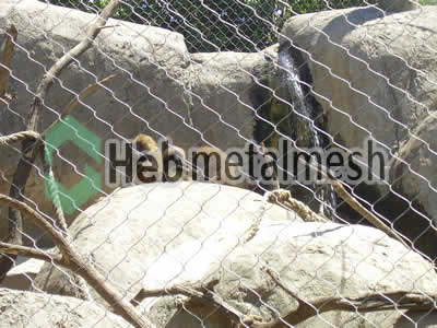 Sample 2" x 2" x 5/64" stainless steel rope mesh monkey enclosure fence eagle enclosure aviary mesh