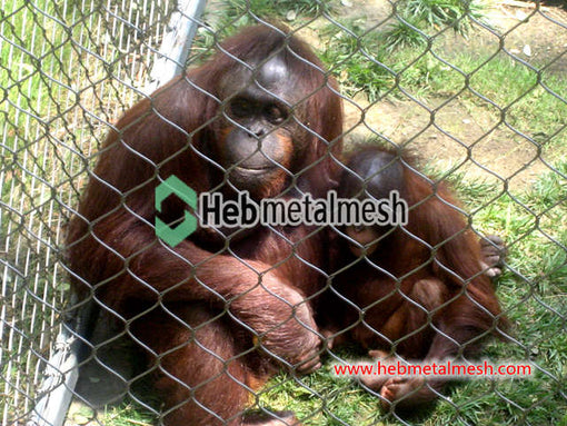 2" x 2" x 1/8" Stainless steel zoo enclosures sample